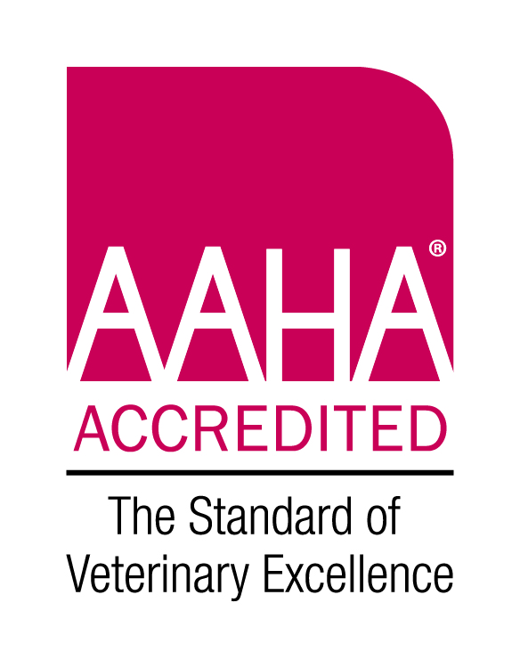 AAHA Accredited Iron On Patch