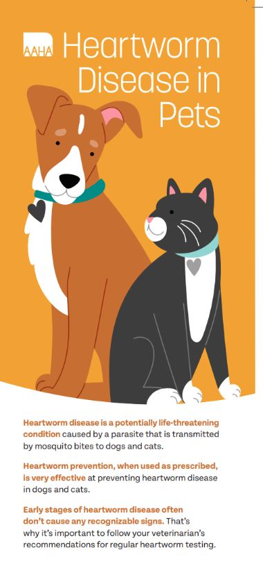 Heartworm Disease in Pets