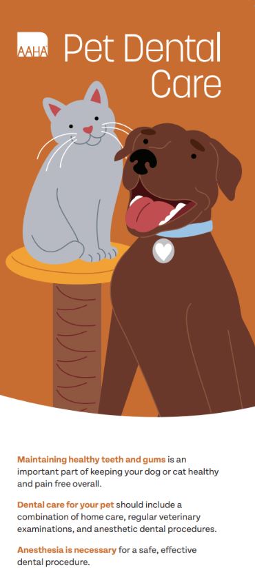 Your Pet’s Dental Care