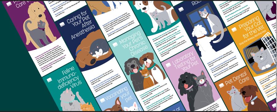 Pet Health Brochure Sample Set