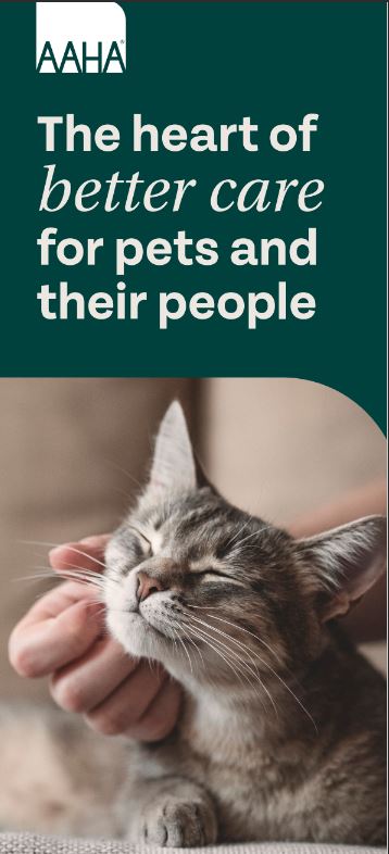 We Are Accredited Brochures (English, featuring cats)