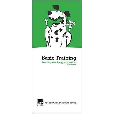 Basic Training: Teaching Your Puppy to Mind Her Manners