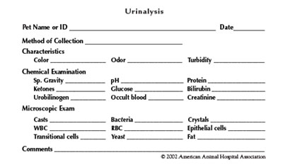 Urinalysis Sticker (Pack of 50)