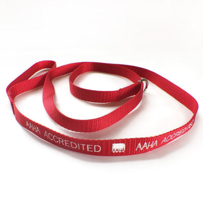 Slip Leash (pack of 25)