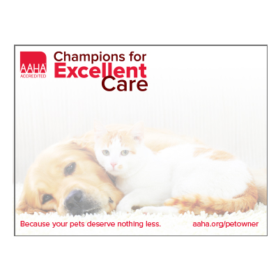 Sticky Notepads (pack of 10 pads)