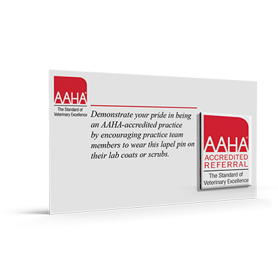 REFERRAL PRACTICE Lapel Pins (pack of 10)