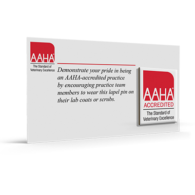 Lapel Pins (pack of 10)