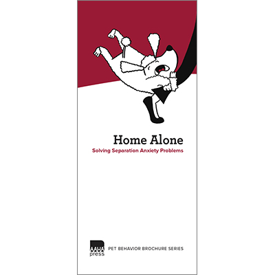 Home Alone: Solving Separation Anxiety Problems