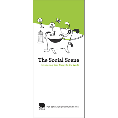 Social Scene: Introducing Your Puppy to the World
