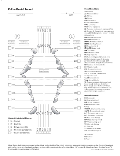 Feline Dental Record