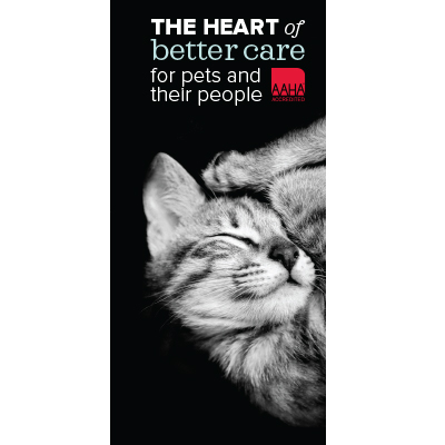 We Are Accredited Brochures (English, featuring cats)