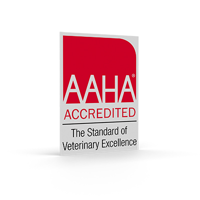 AAHA Accredited Decals