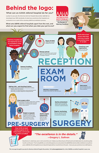 REFERRAL PRACTICE Accreditation Infographic Poster