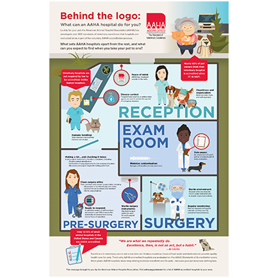 Accreditation Infographic Poster