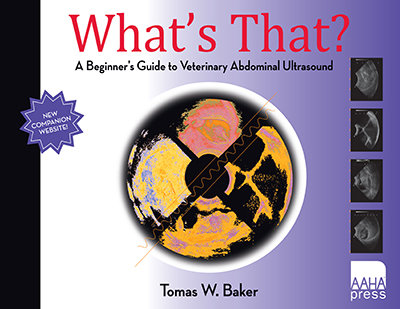 What’s That? A Beginner’s Guide to Veterinary Abdominal Ultrasound