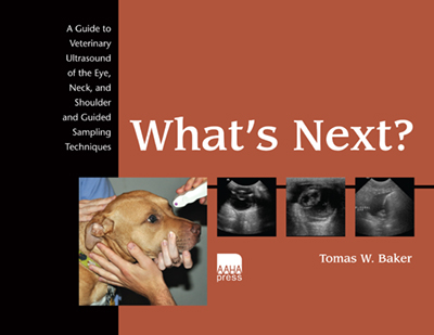 What’s Next? A Guide to Veterinary Ultrasound of the Eye, Neck, and...