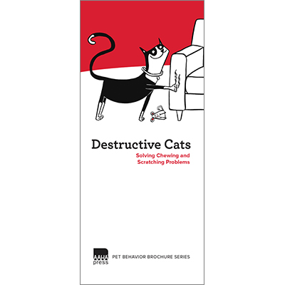 Destructive Cats: Solving Chewing and Scratching Problems