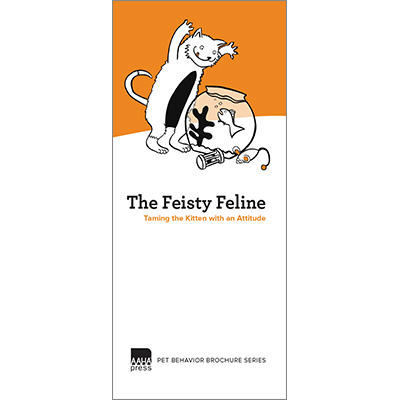 Feisty Feline: Taming the Kitten with an Attitude