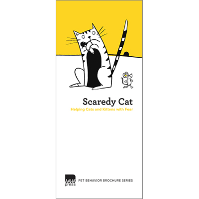 Scaredy Cat: Helping Cats and Kittens with Fear