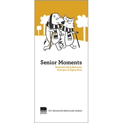 Senior Moments: Understanding Behavior Changes in Aging Pets