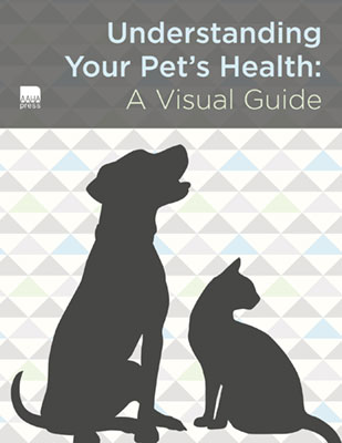 Understanding Your Pet’s Health: A Visual Guide
