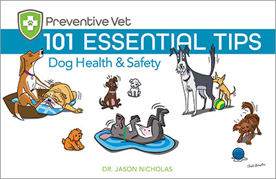 101 Essential Tips: Dog Health & Safety