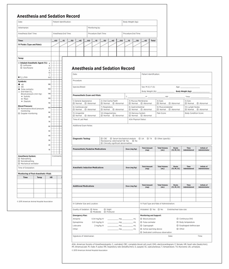 Anesthesia and Sedation Record