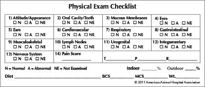 Physical Exam Sticker (Pack of 50)