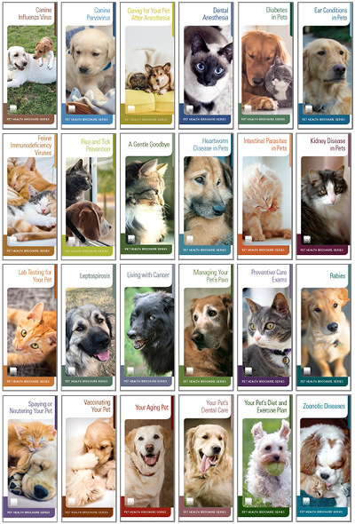 Pet Health Brochure Sample Set