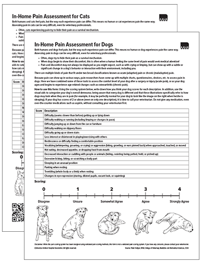 SET In-Home Pain Assessment for Cats and In-Home Pain Assessment for Dogs (English)