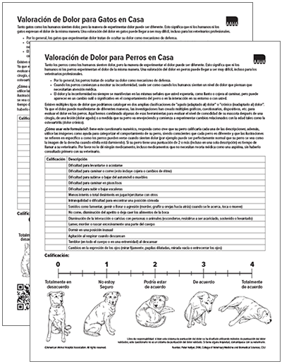 SET In-Home Pain Assessment for Cats and In-Home Pain Assessment for Dogs (Spanish)